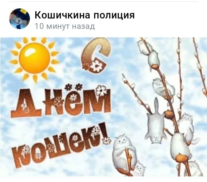 Кошичкина полиция