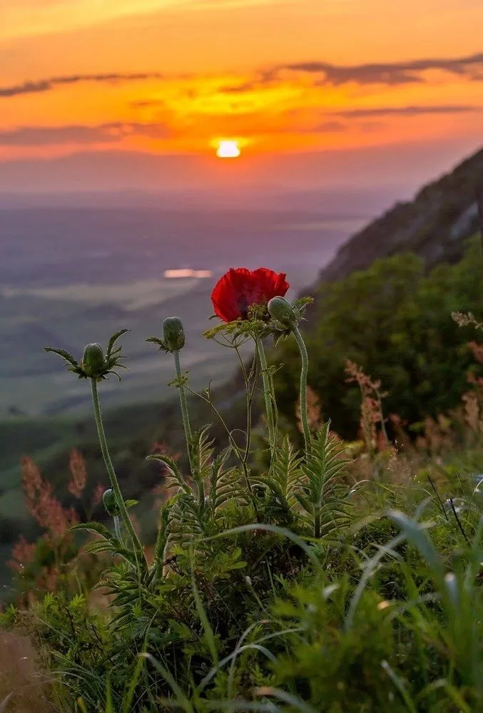 Арт галерея