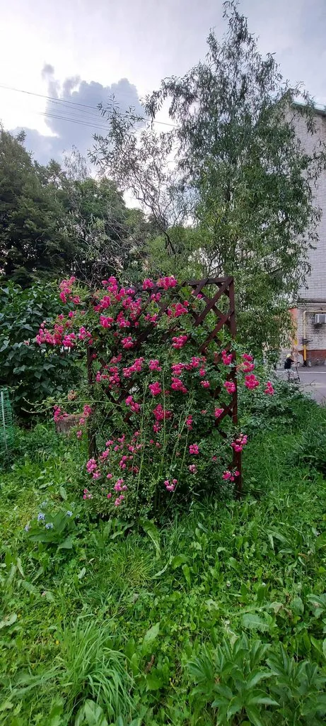 Чайная беседка