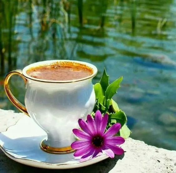 Чайная беседка