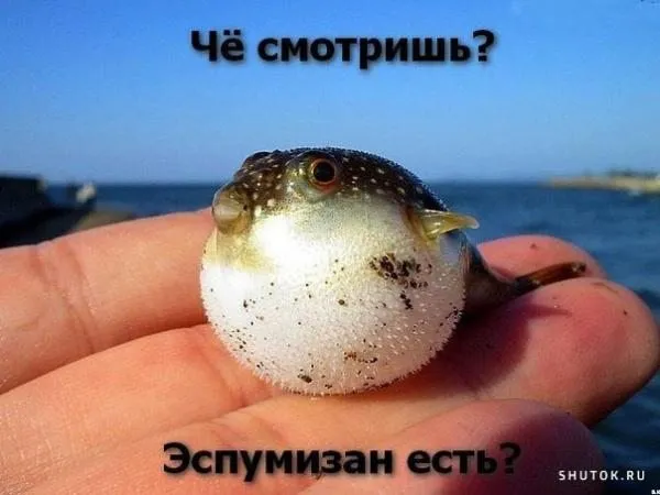 Посмеялся сам - поделись с другом!!!