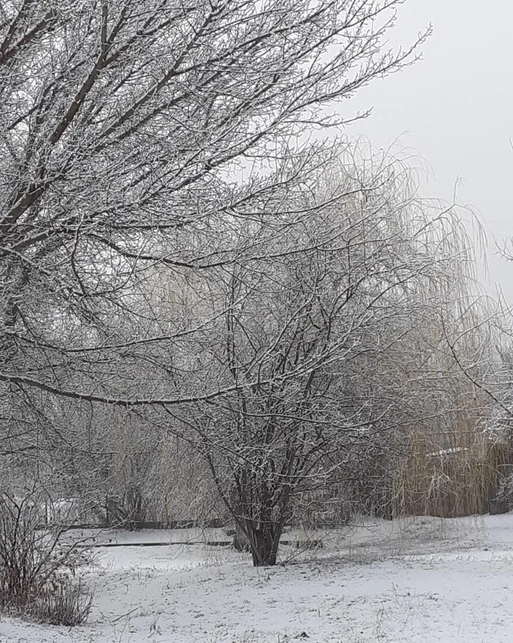 Чайная беседка