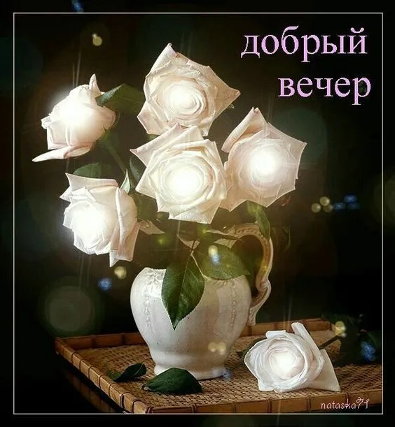 Tapтaлeтки & Ко