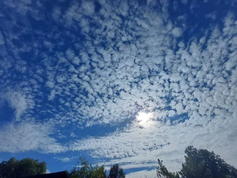 Такое разное небо