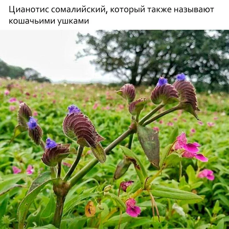Это интересно!
