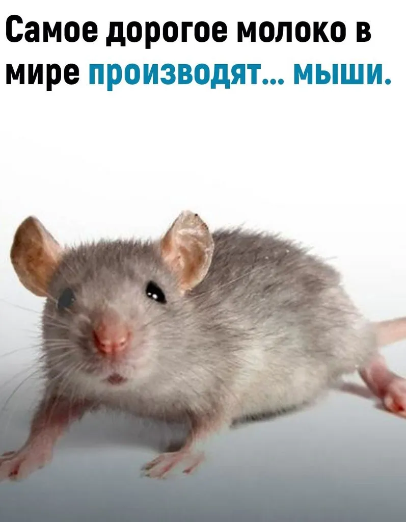Это интересно!