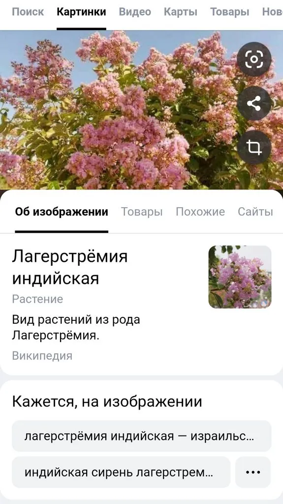 Чайная беседка