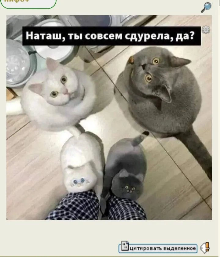 Посмеялся сам - поделись с другом!!!