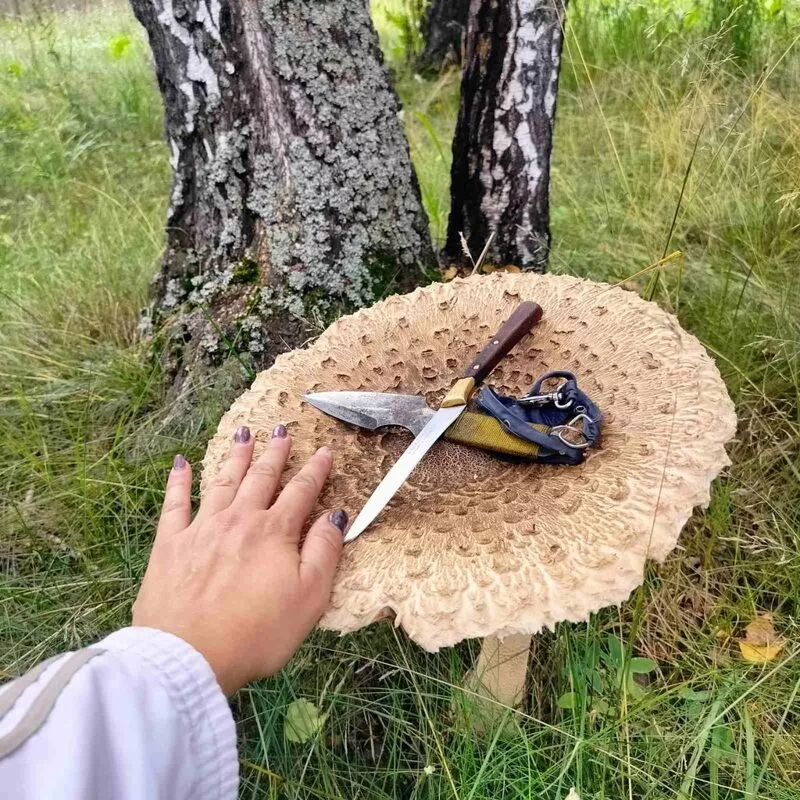 Чайная беседка