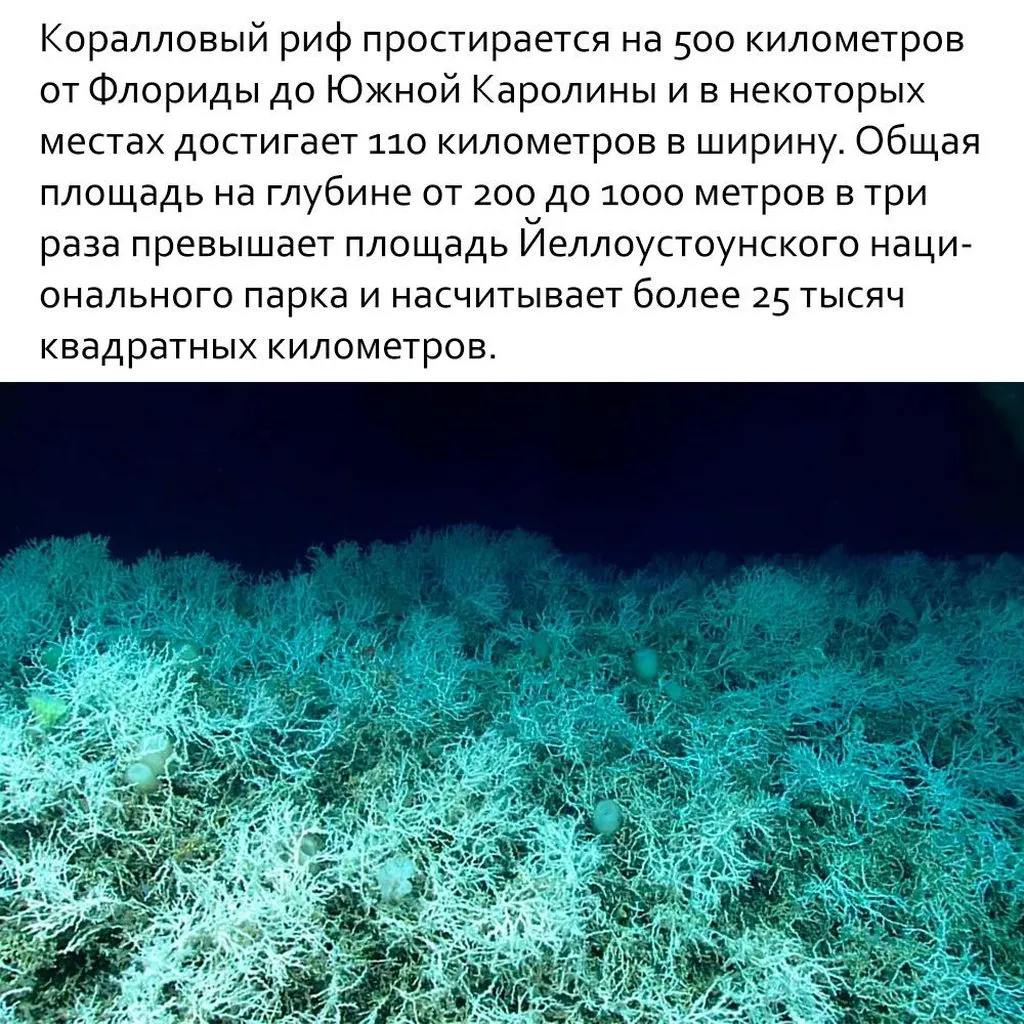Это интересно!