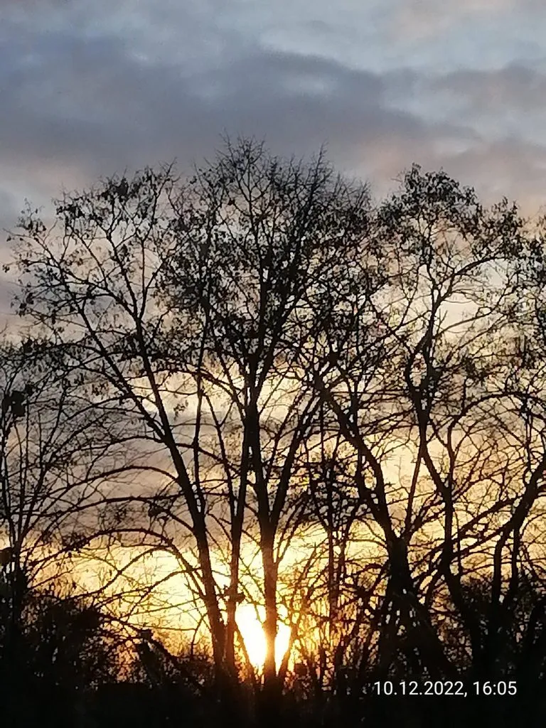 Такое разное небо