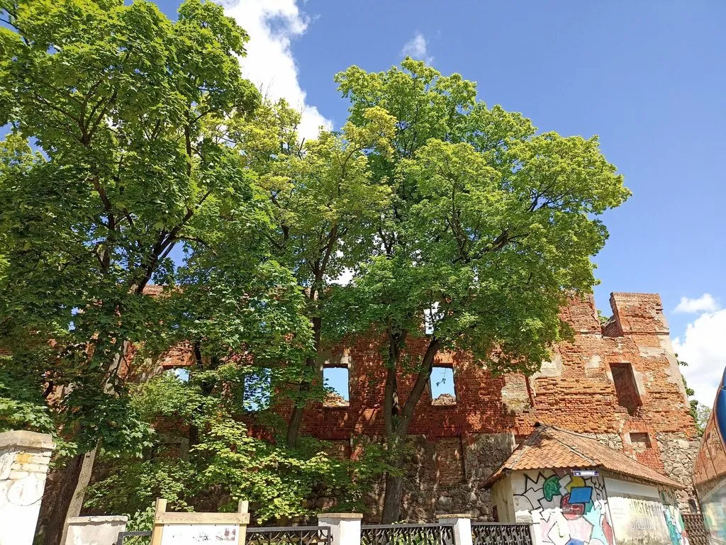 Калининградская область (не только море и янтарь) 