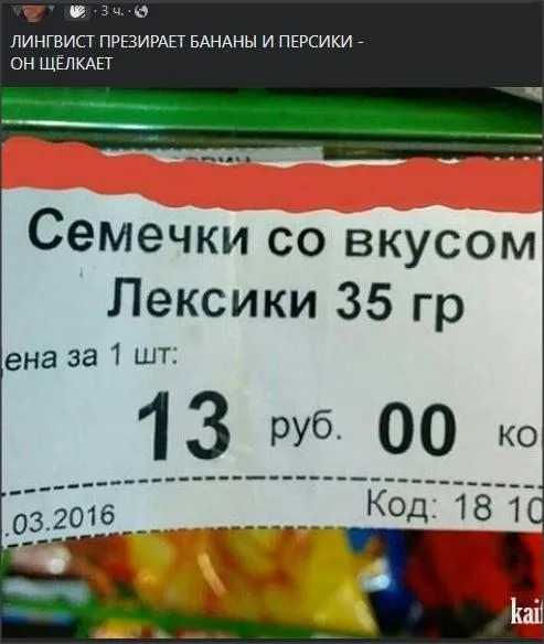 Всюду рифмы