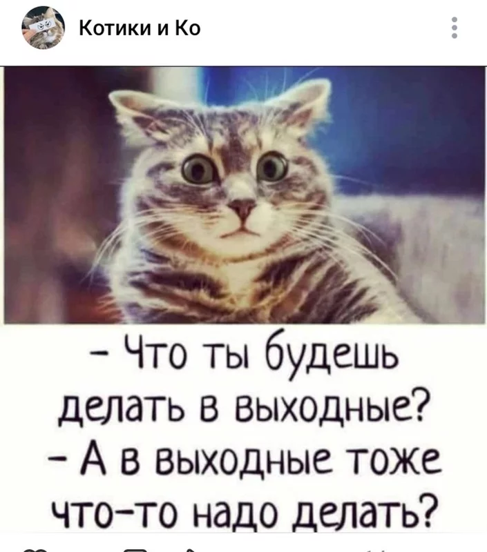 Кафе "У пани Сони"