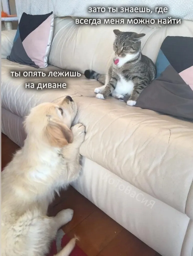 Кафе «У пани Сони»