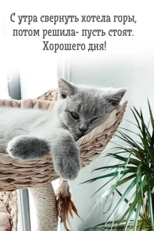 Кафе "У пани Сони"
