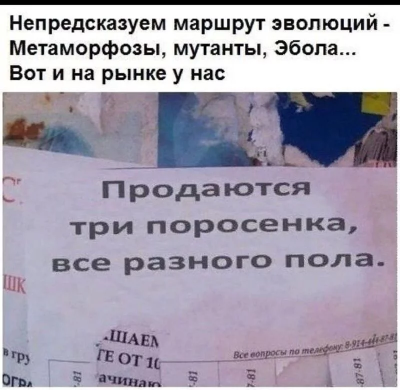 Посмеялся сам - поделись с другом!!!