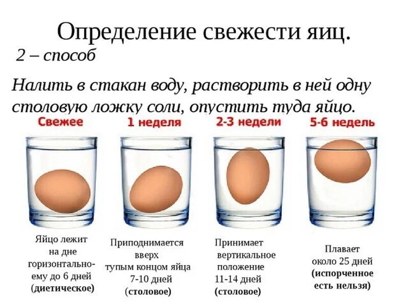 Домашняя инфографика