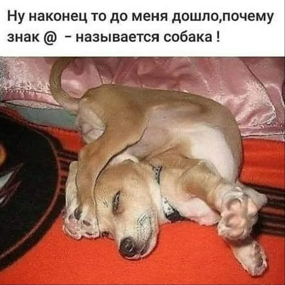 Посмеялся сам - поделись с другом!!!
