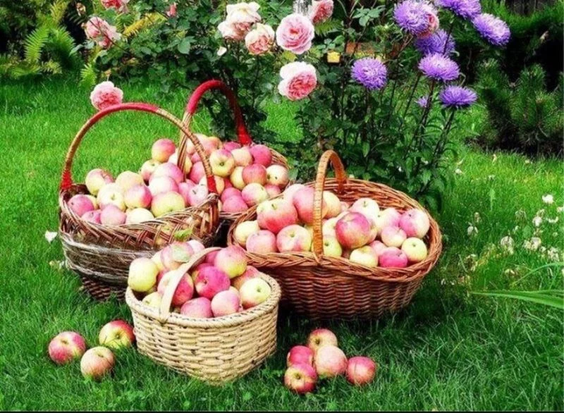 Кафе "У пани Сони"