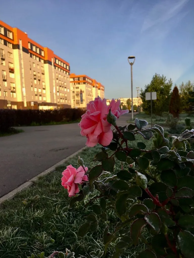 Tapтaлeтки & Ко