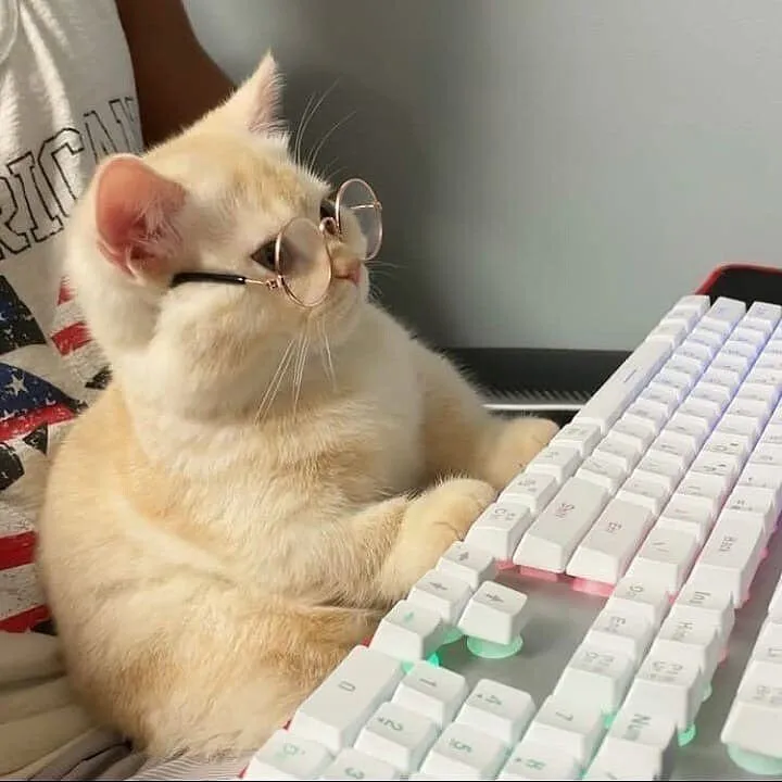 Tapтaлeтки & Ко