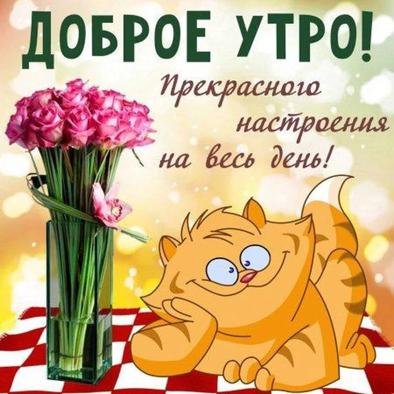 Tapтaлeтки & Ко