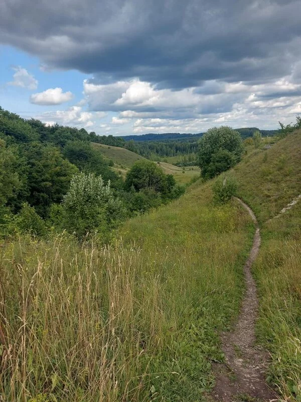 Чайная беседка