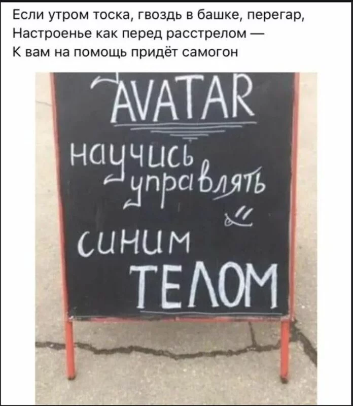Всюду рифмы