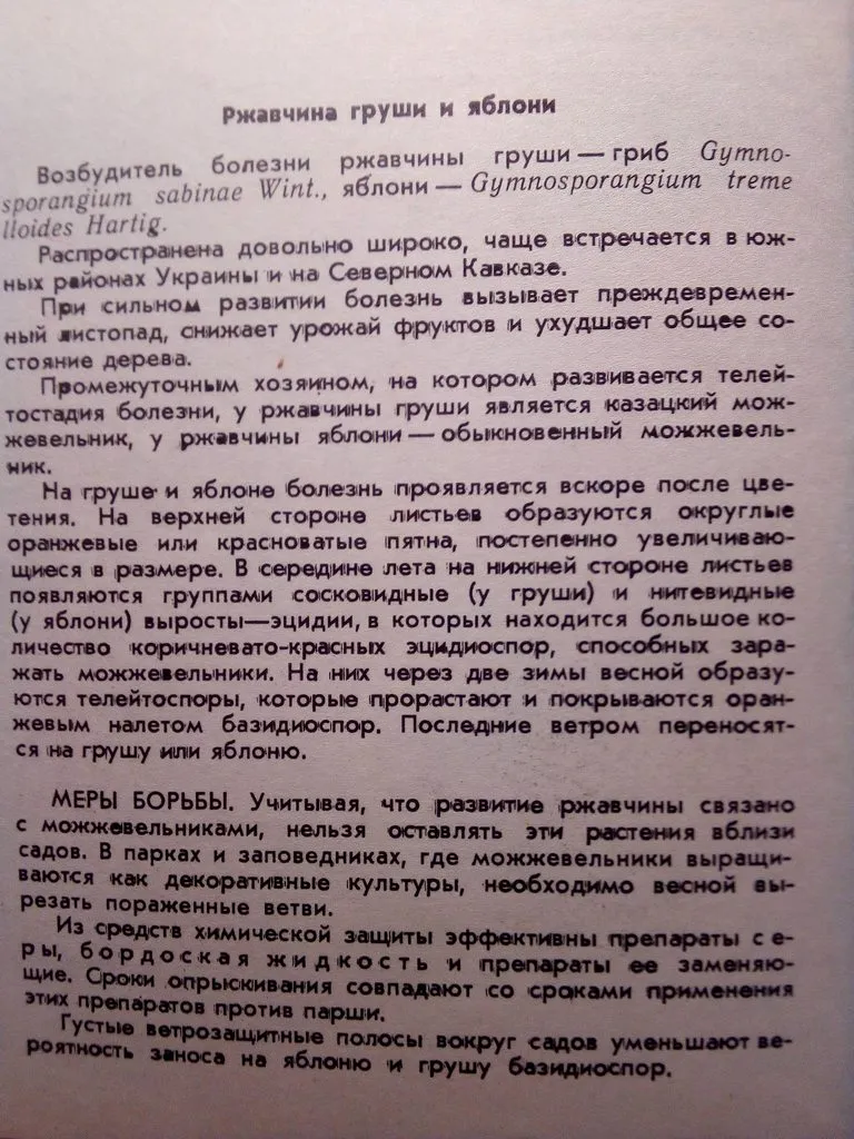 Загородная жизнь - обустройство жизни на своей земле во всем ее разнообразии