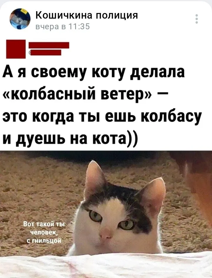 Кошичкина полиция