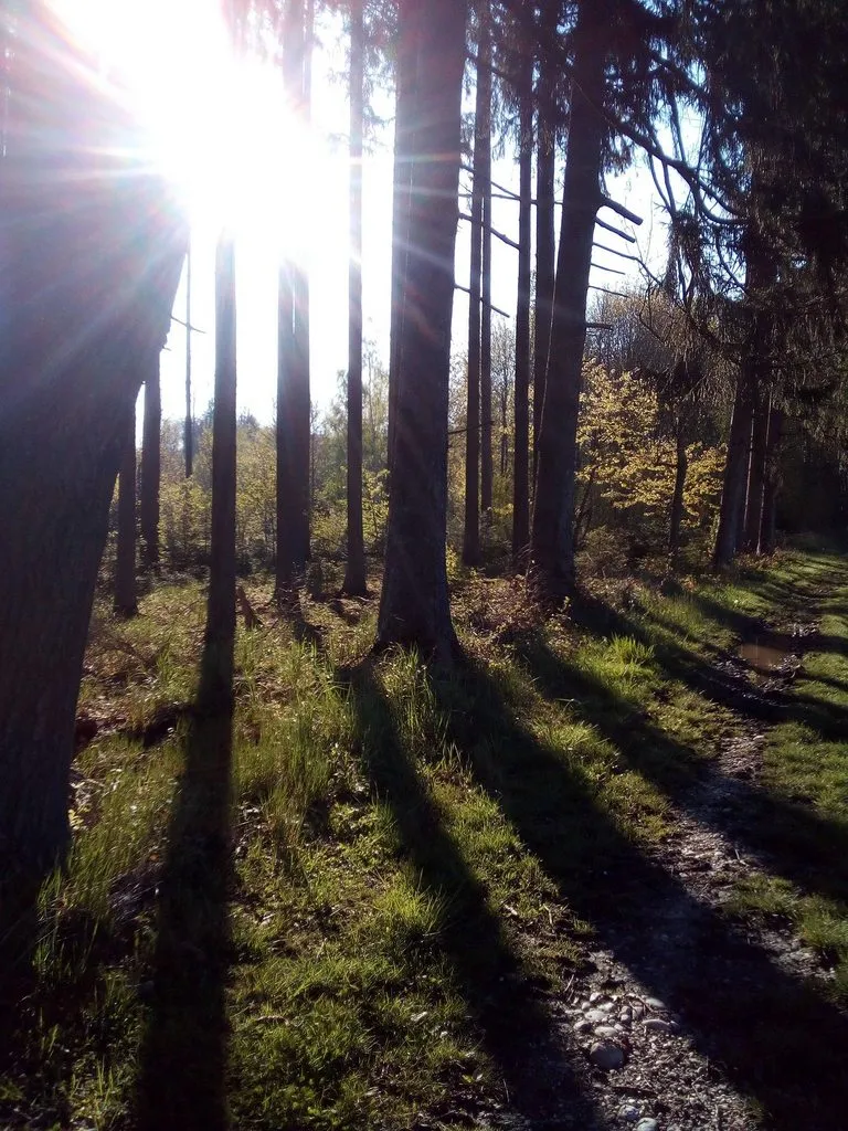 Чайная беседка