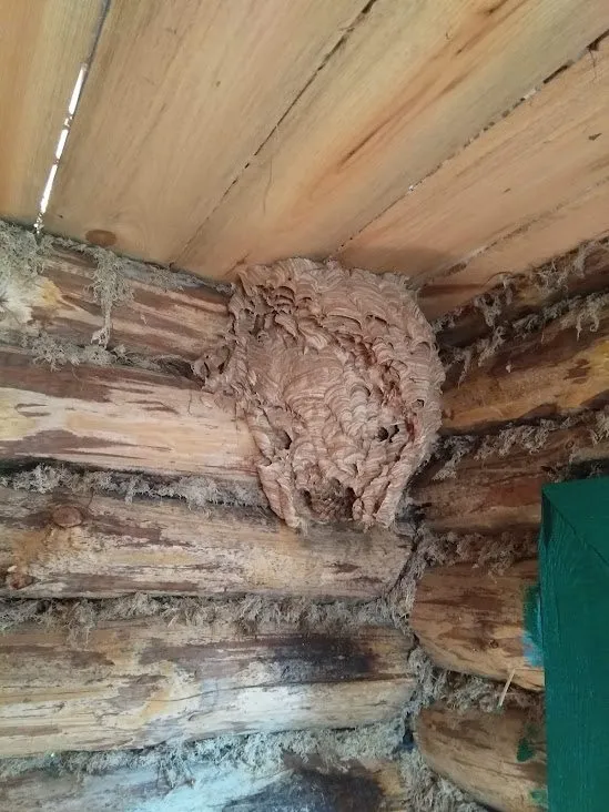 Чайная беседка