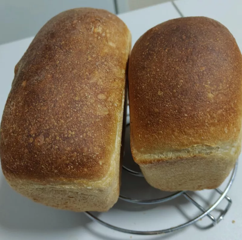 "Вечные дрожжи", картофельно-хмелевые  (Закваска без муки). Рецепты выпечки.