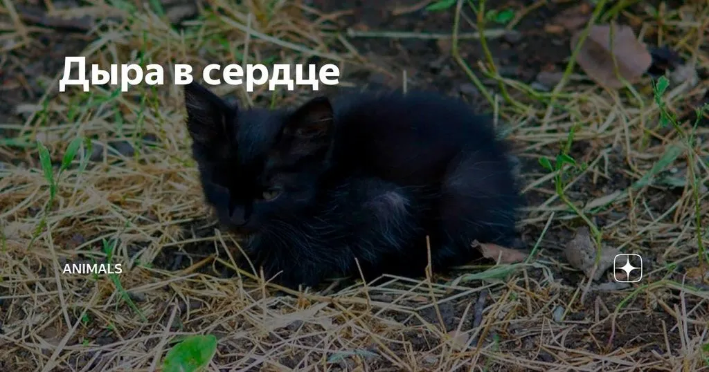 Рассказы для души