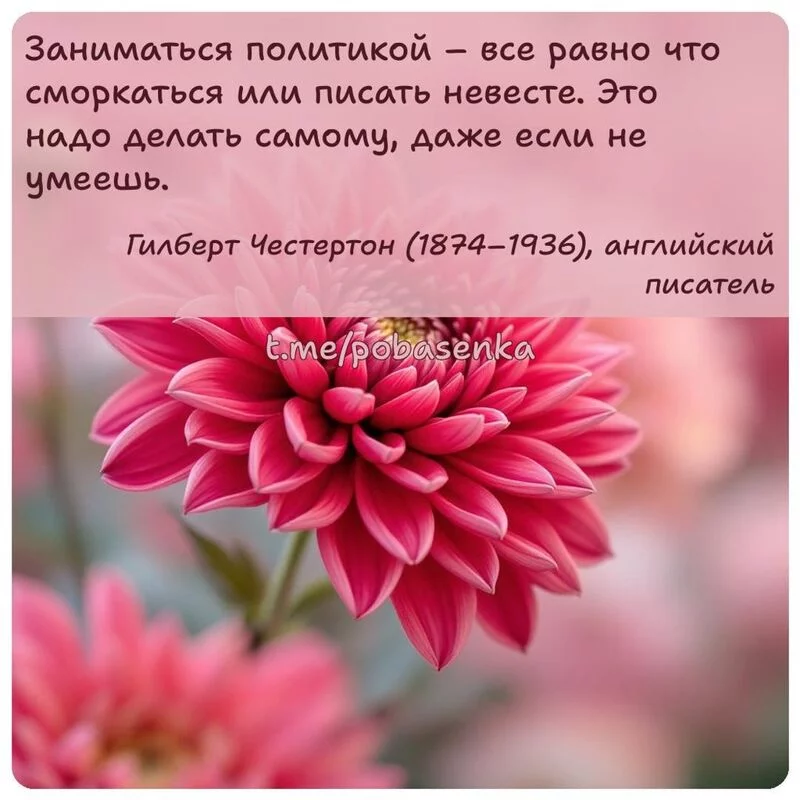 «Заниматься политикой все равно что сморкаться или писать невесте. Это надо делать самому, даже если не...» height="550" width="550"