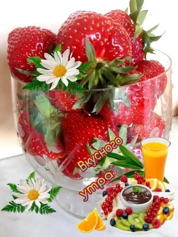 Tapтaлeтки & Ко