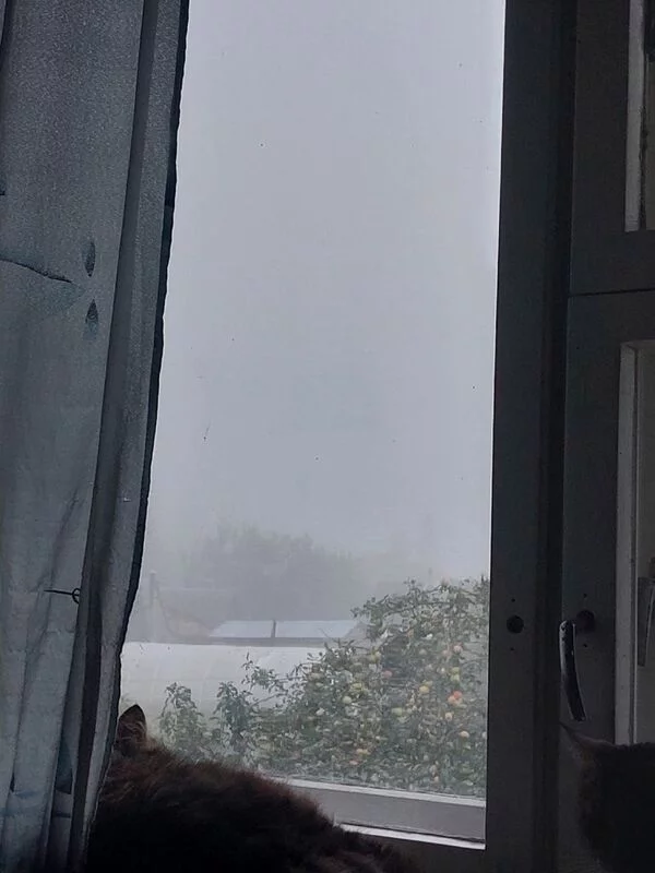 Такое разное небо