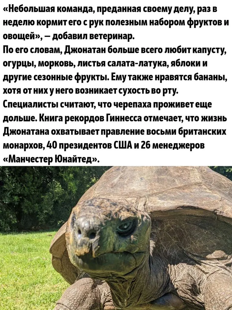 Это интересно!