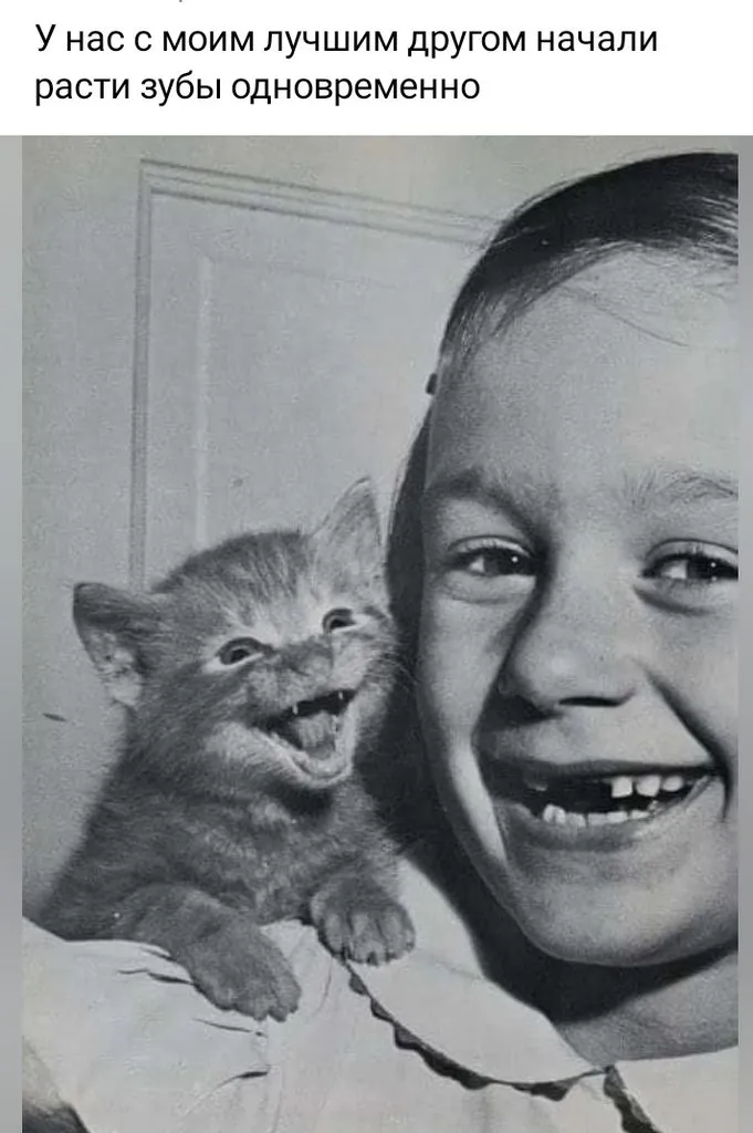 Посмеялся сам - поделись с другом!!!