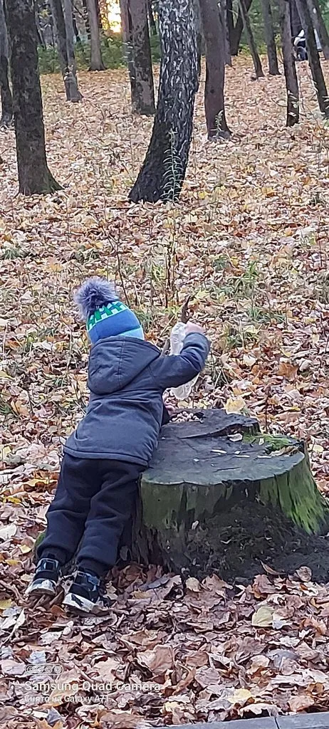 Чайная беседка