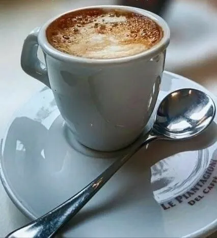 Tapтaлeтки & Ко