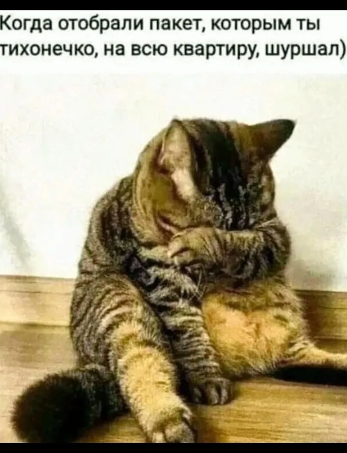 Кошичкина полиция