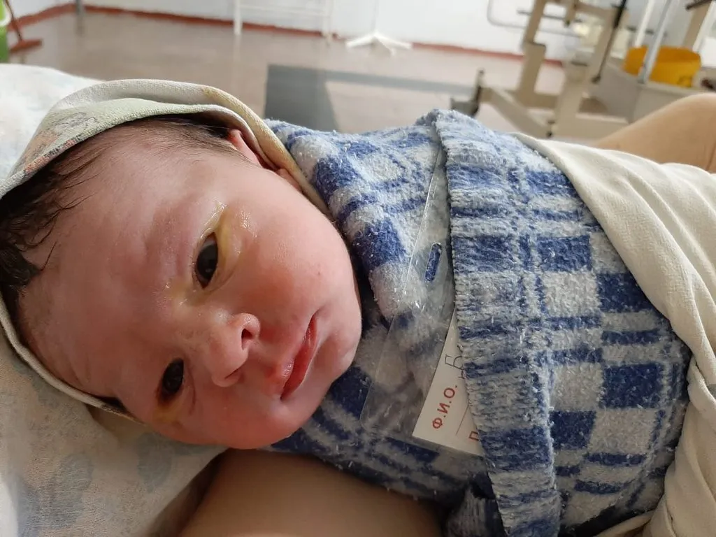 Tapтaлeтки & Ко