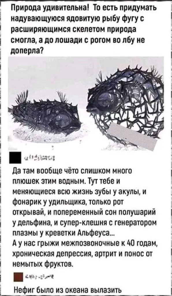 Посмеялся сам - поделись с другом!!!