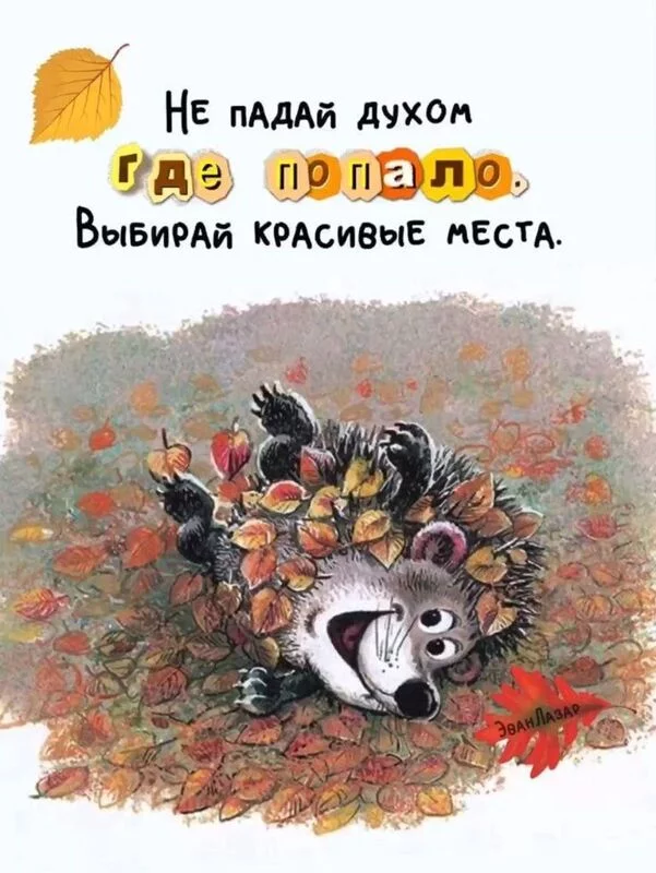 Кафе "У пани Сони"