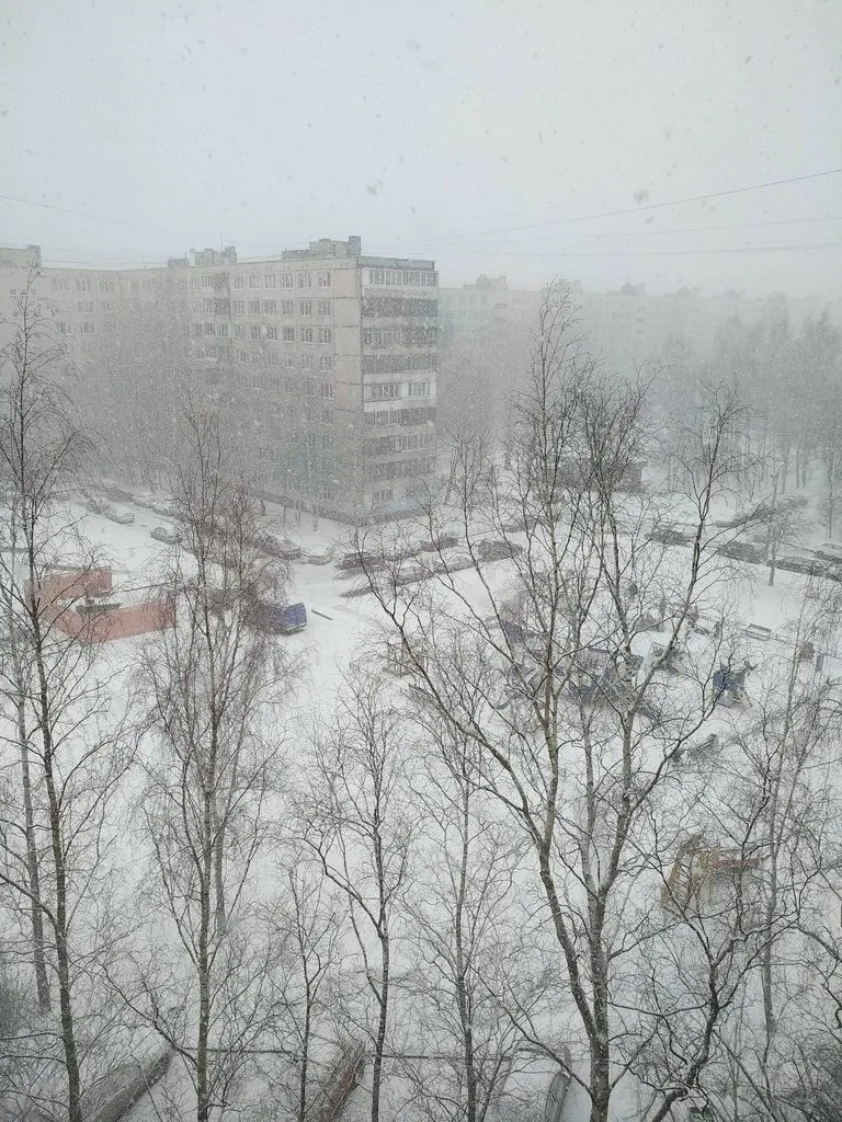 Tapтaлeтки & Ко