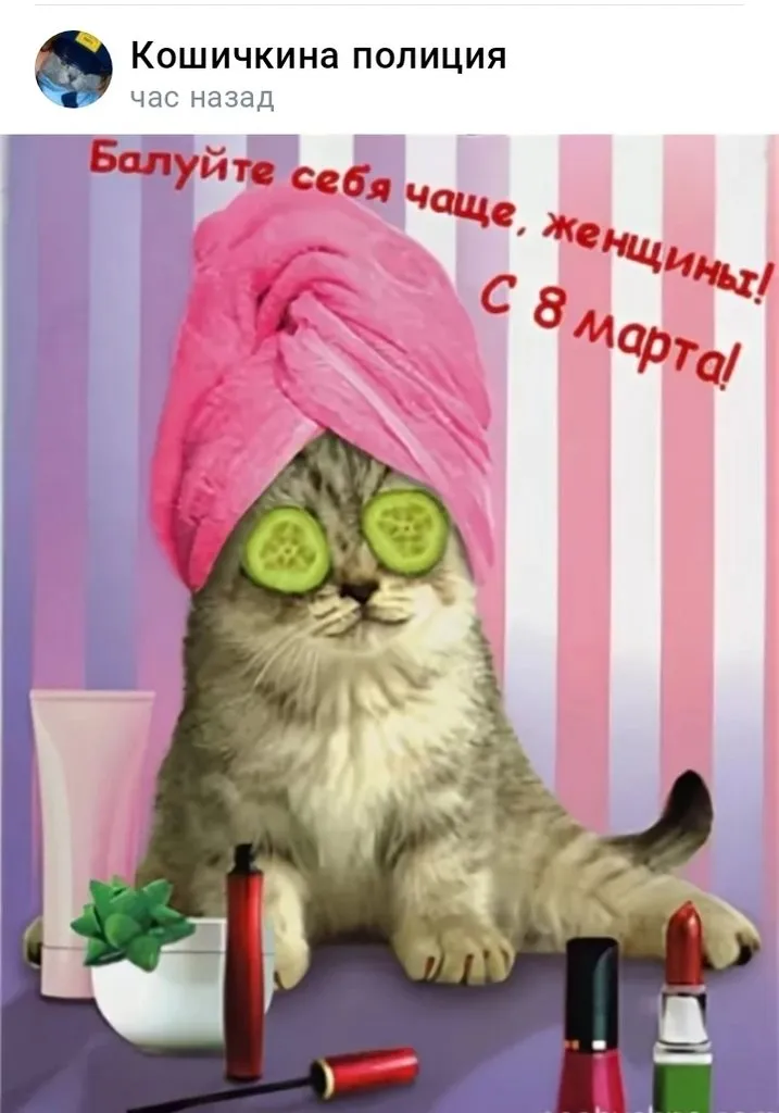 Кошичкина полиция