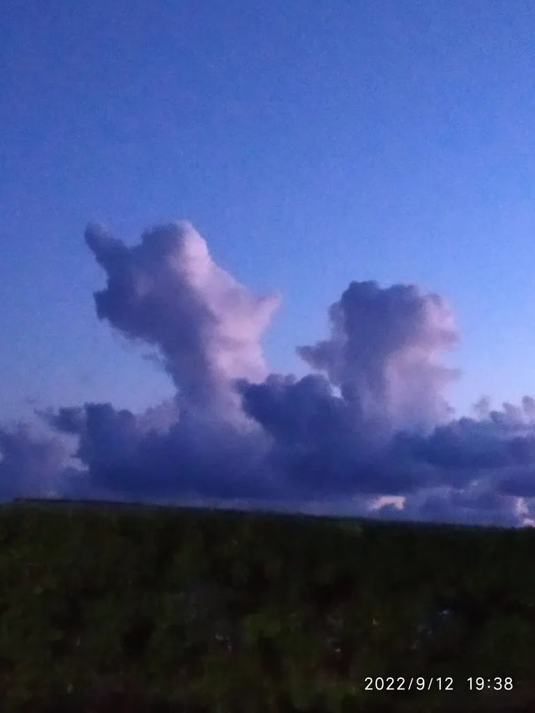 Такое разное небо