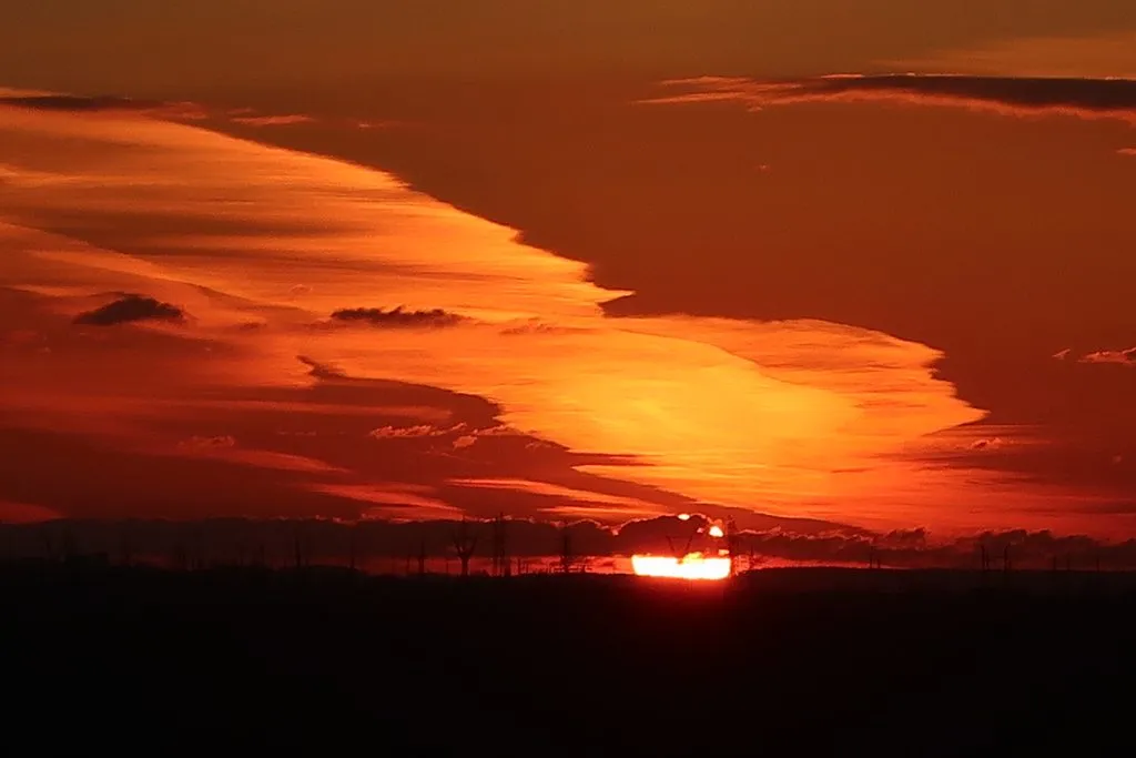 Чайная беседка